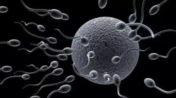 [Must Raed] See How Sperm Could Be Used To Fight Cancer In Women